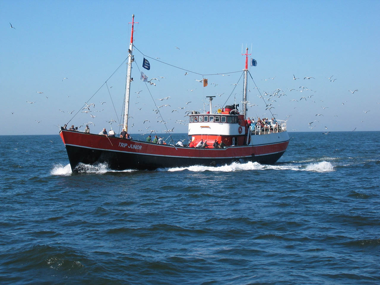 zeevissen rederij trip scheveningen